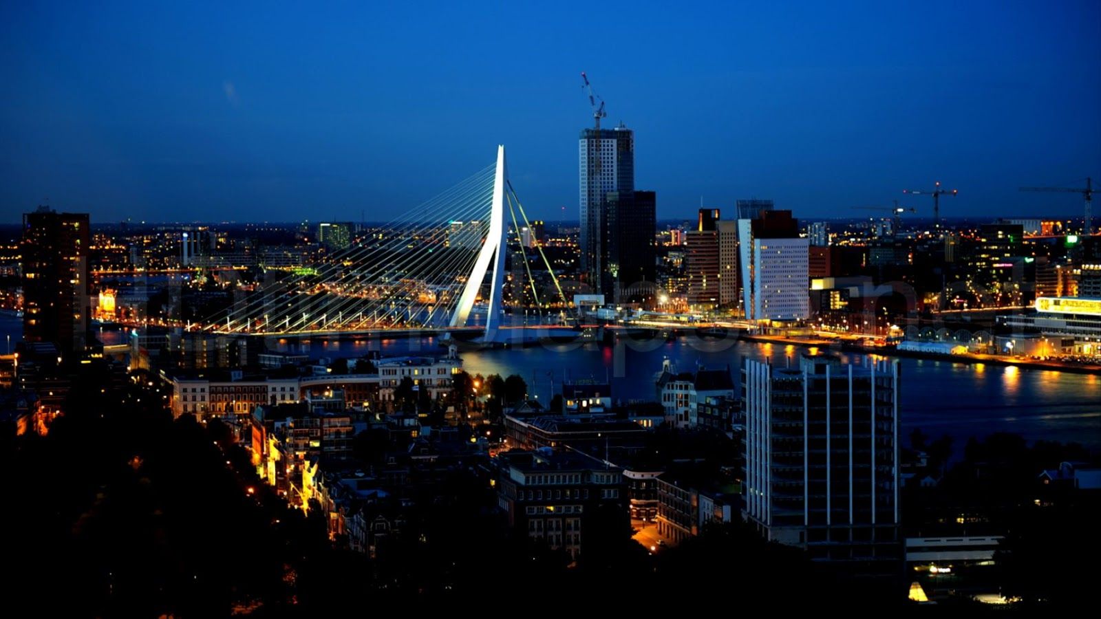 Hollanda Rotterdam Erasmus+ Projesi