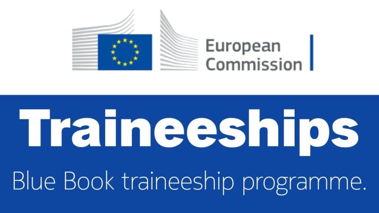 Avrupa Birliğinde Staj Nasıl Yapılır?: Blue Book Trainee
