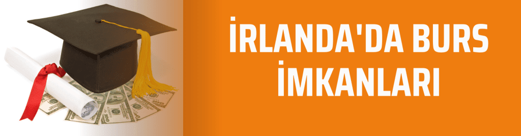 GOI-IES IRLANDA EĞİTİM BURSU 2024