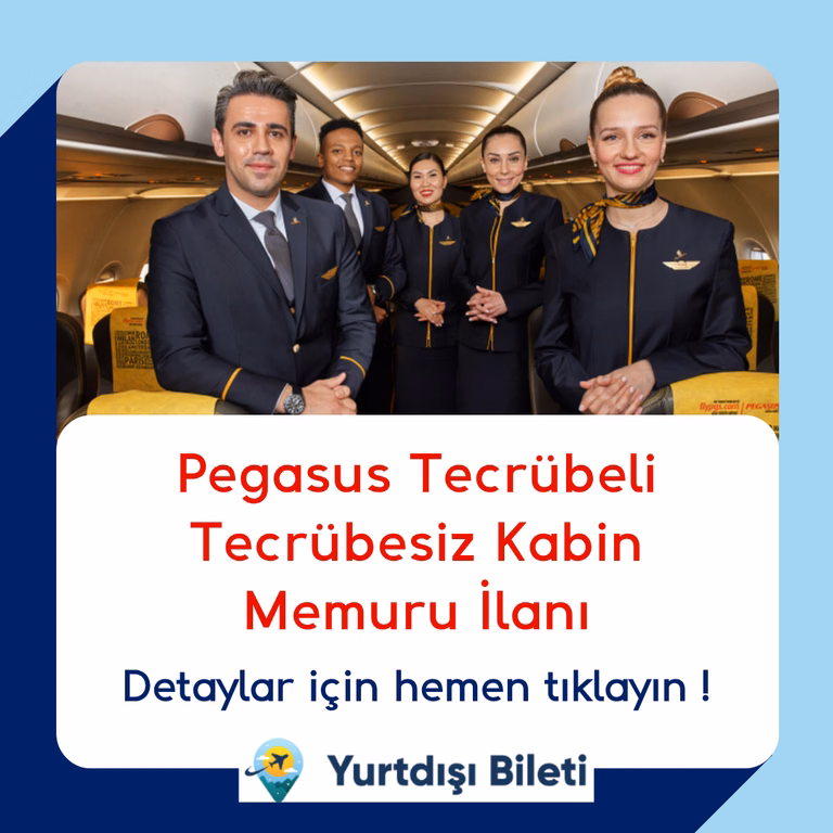 Pegasus Tecrübeli Tecrübesiz Kabin Memuru İlanı